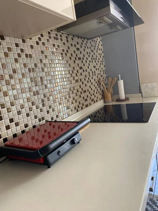 The Most Luxurious Apartment-The Flat New York 安卡拉 公寓