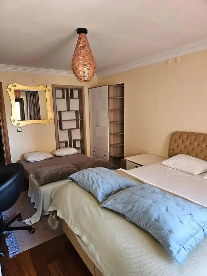 公寓 The Most Luxurious Apartment-The Flat New York 安卡拉