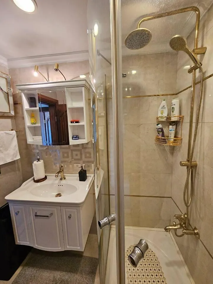 The Most Luxurious Apartment-The Flat New York 安卡拉 土耳其